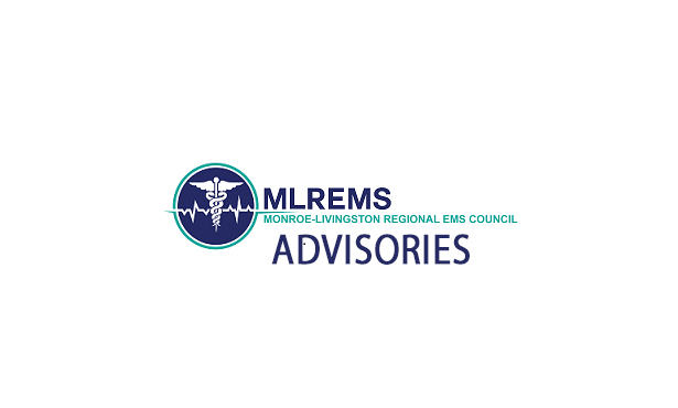 MLREMS